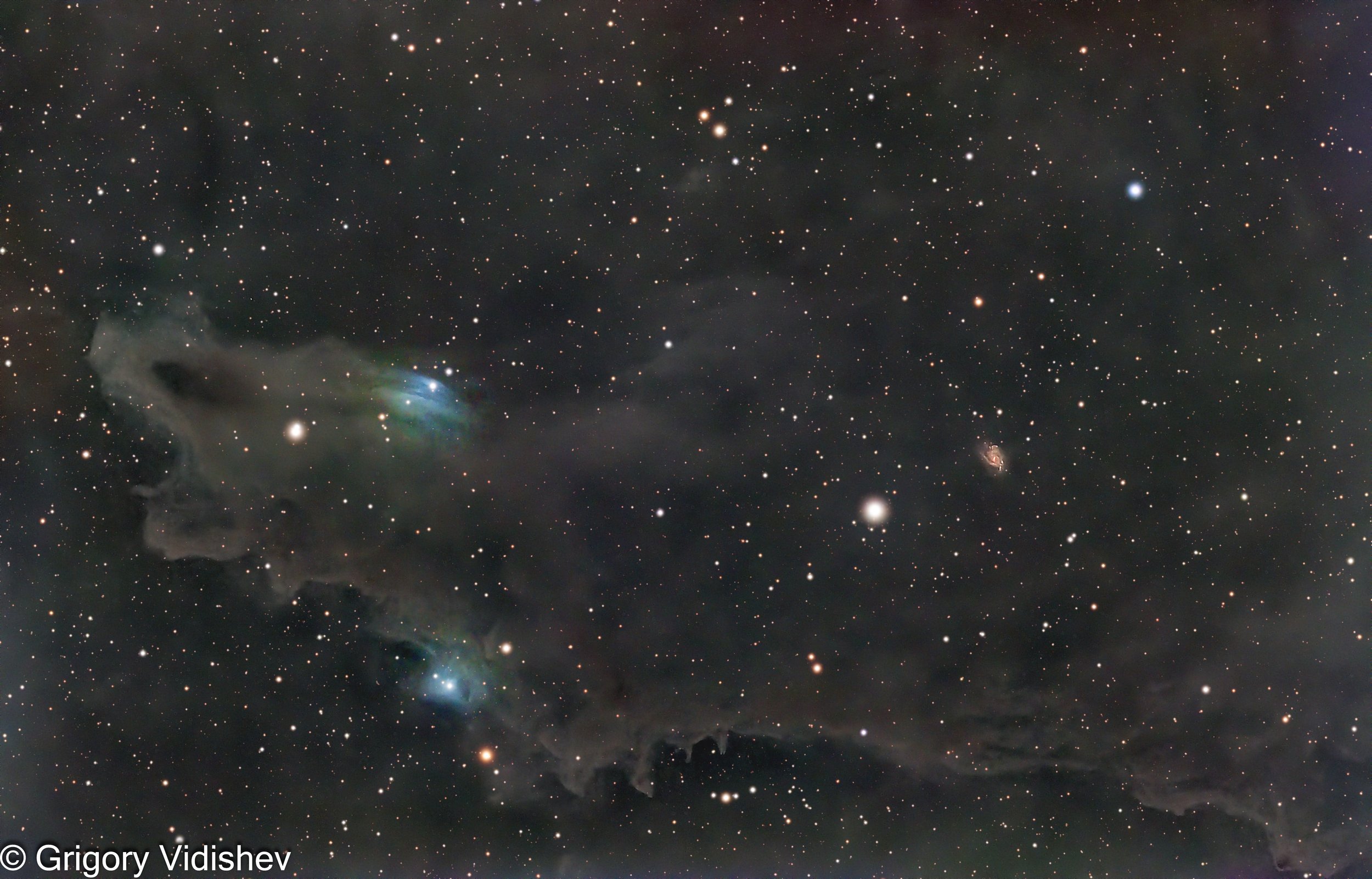 LDN 1235 Shark Nebula