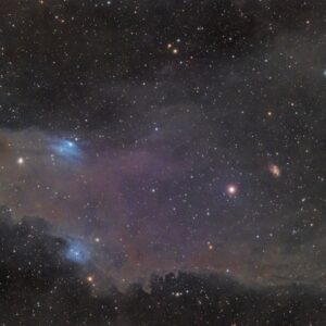 LDN 1235 Shark Nebula Zoom View