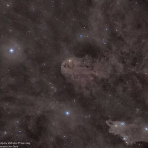 LDN 1251 Rotten Fish Nebula