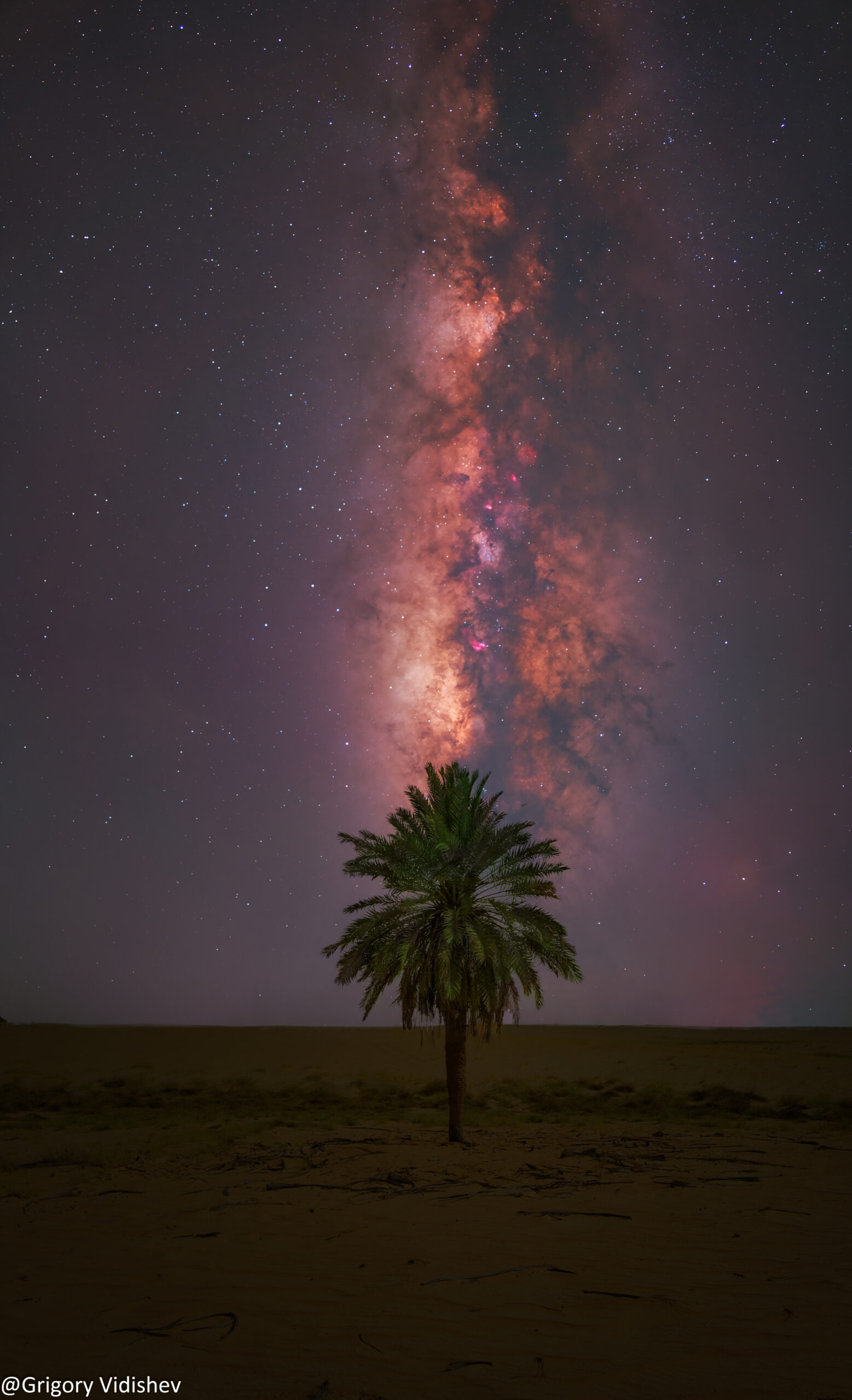Milky Way And Palm Tree